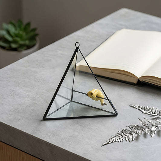 Geometric glass conservatory